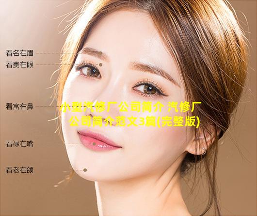 小型汽修厂公司简介 汽修厂公司简介范文3篇(完整版)